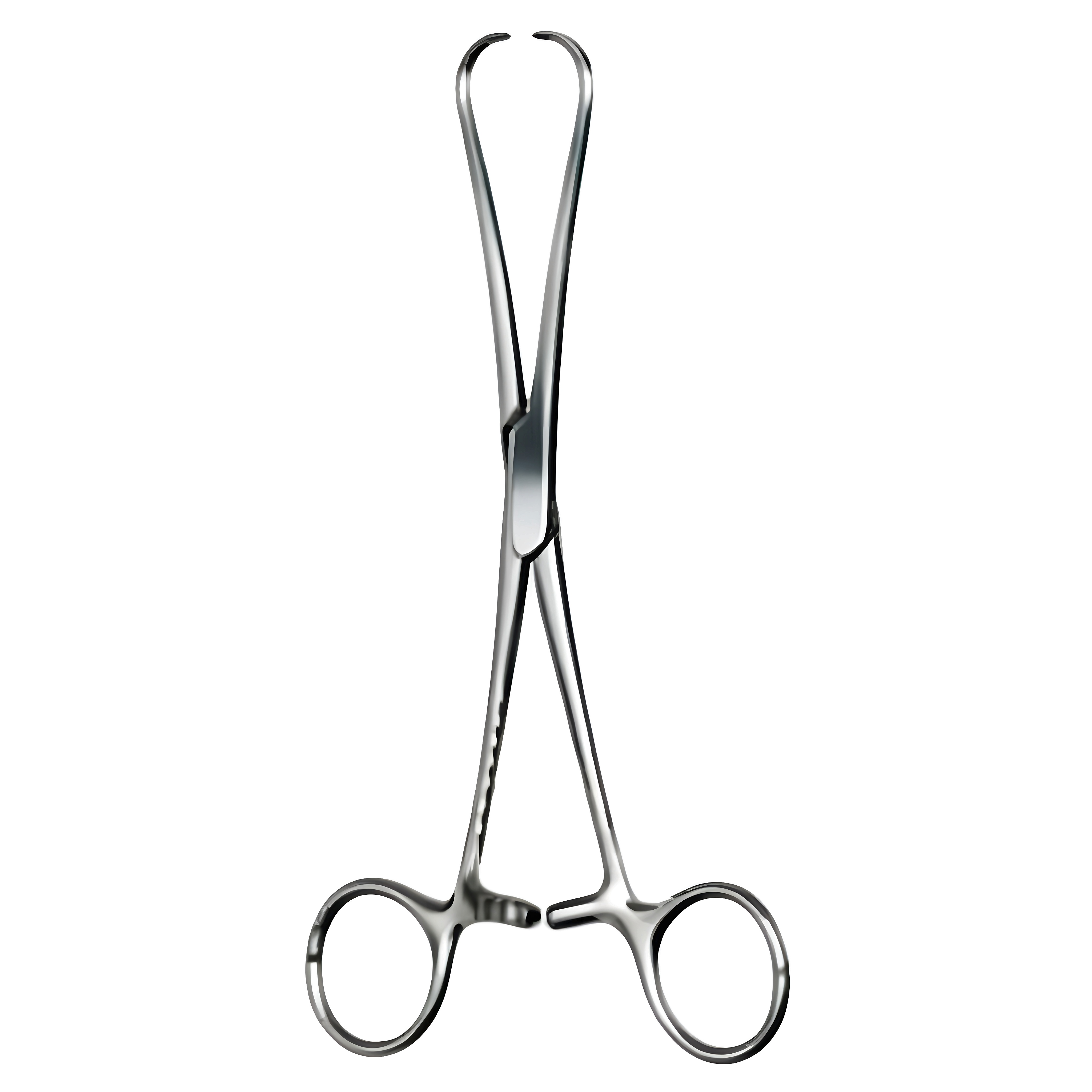 Staude-Moore Tenaculum Fcps strong pattern 17cm