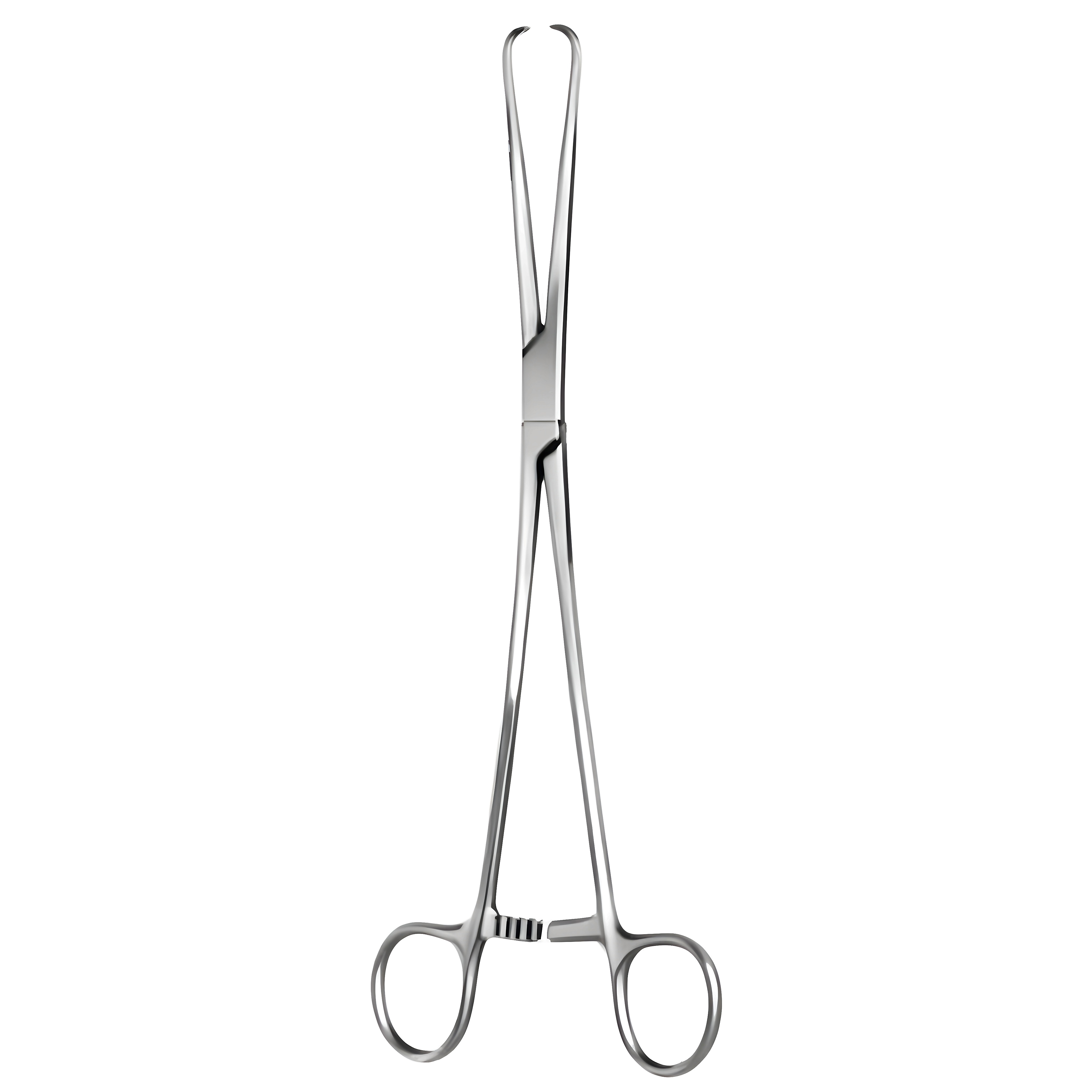 Schroeder Tenaculum Fcps str 25cm