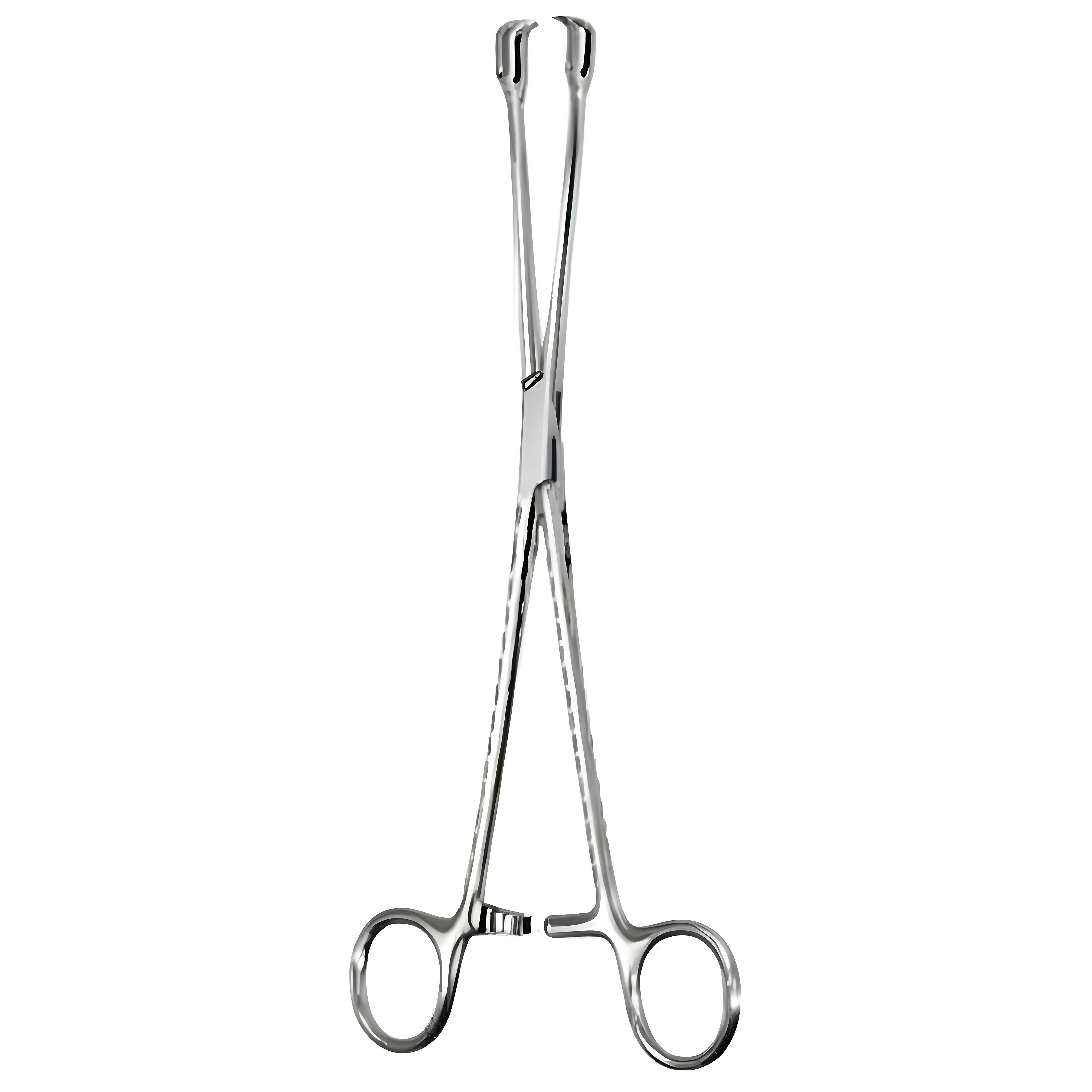 Schroeder Vulsellum Fcps str 2x2T 26cm