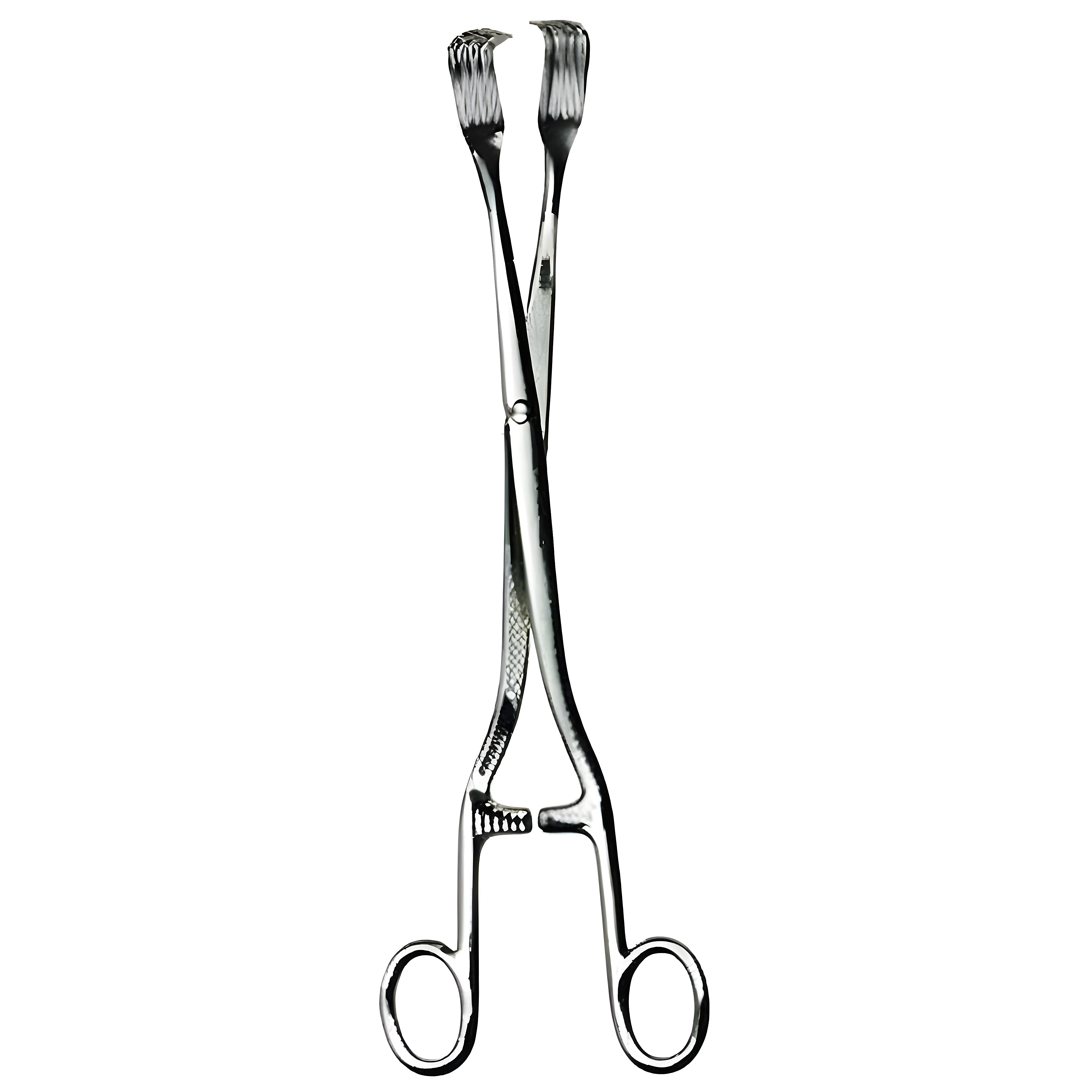 Pratt Vulsellum Fcps 28cm