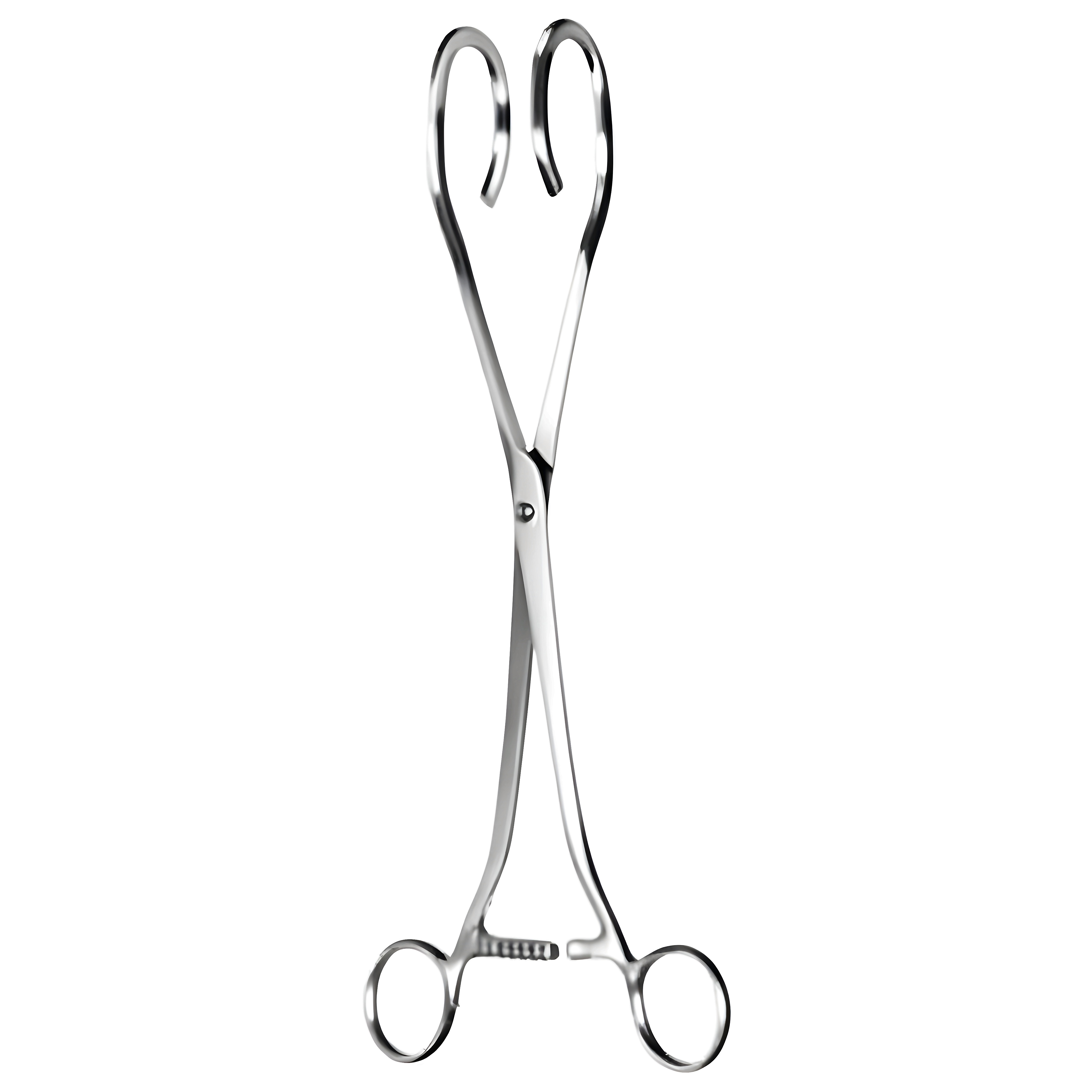 Dartigues Uterine Elevating Fcps 27cm