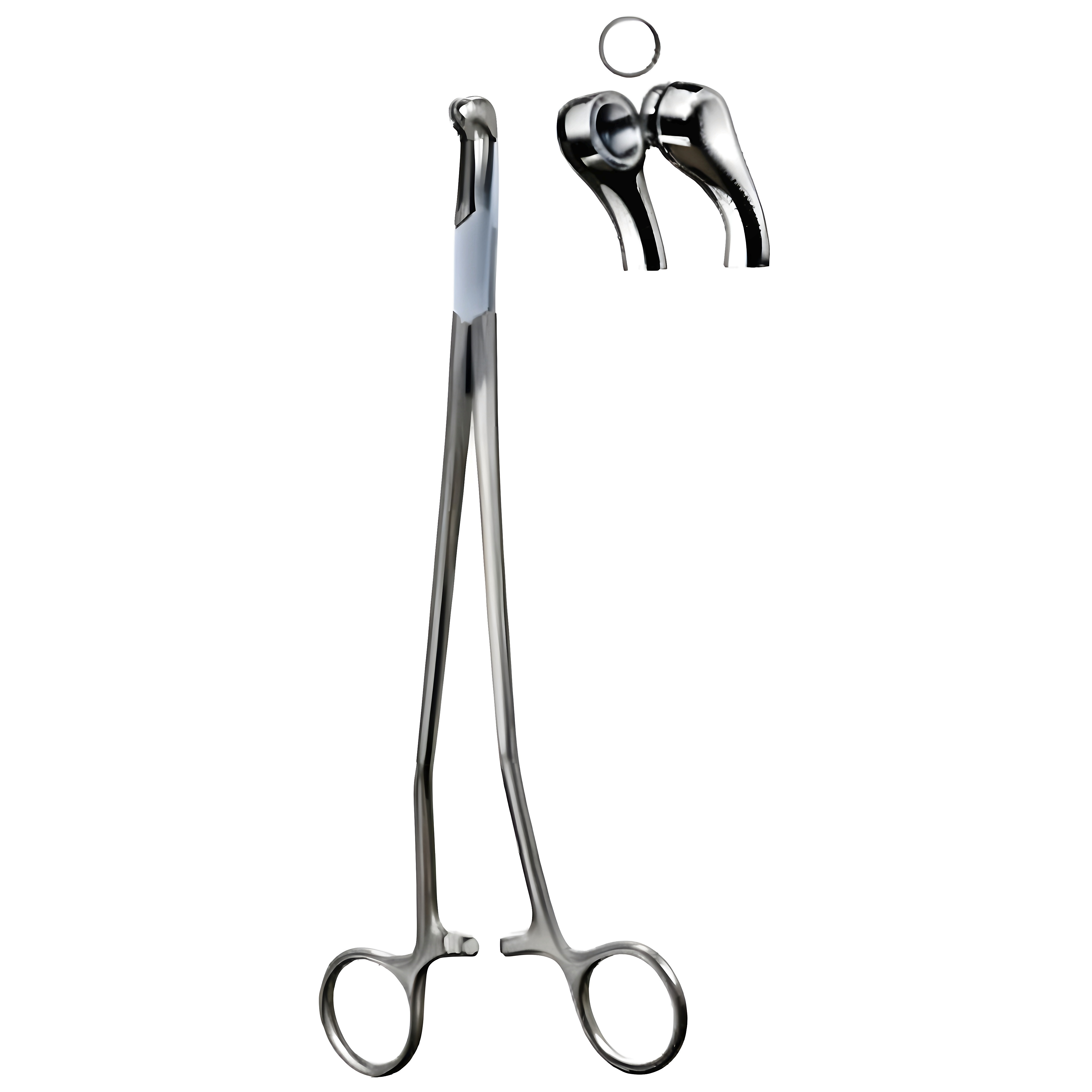 Thomas Gaylor Cervical biopsy Fcps 22cm