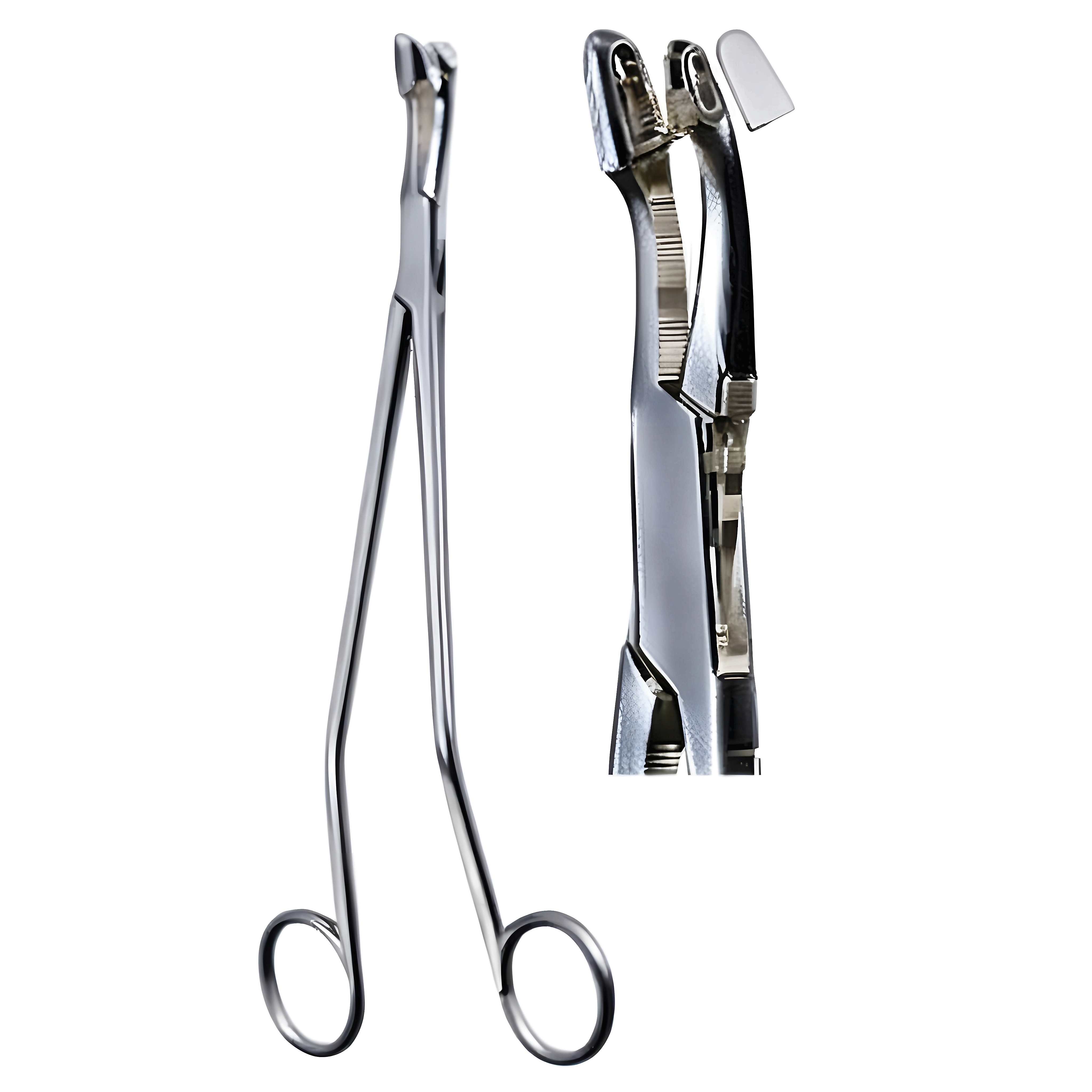 Van Doren Biopsy Fcps 24cm