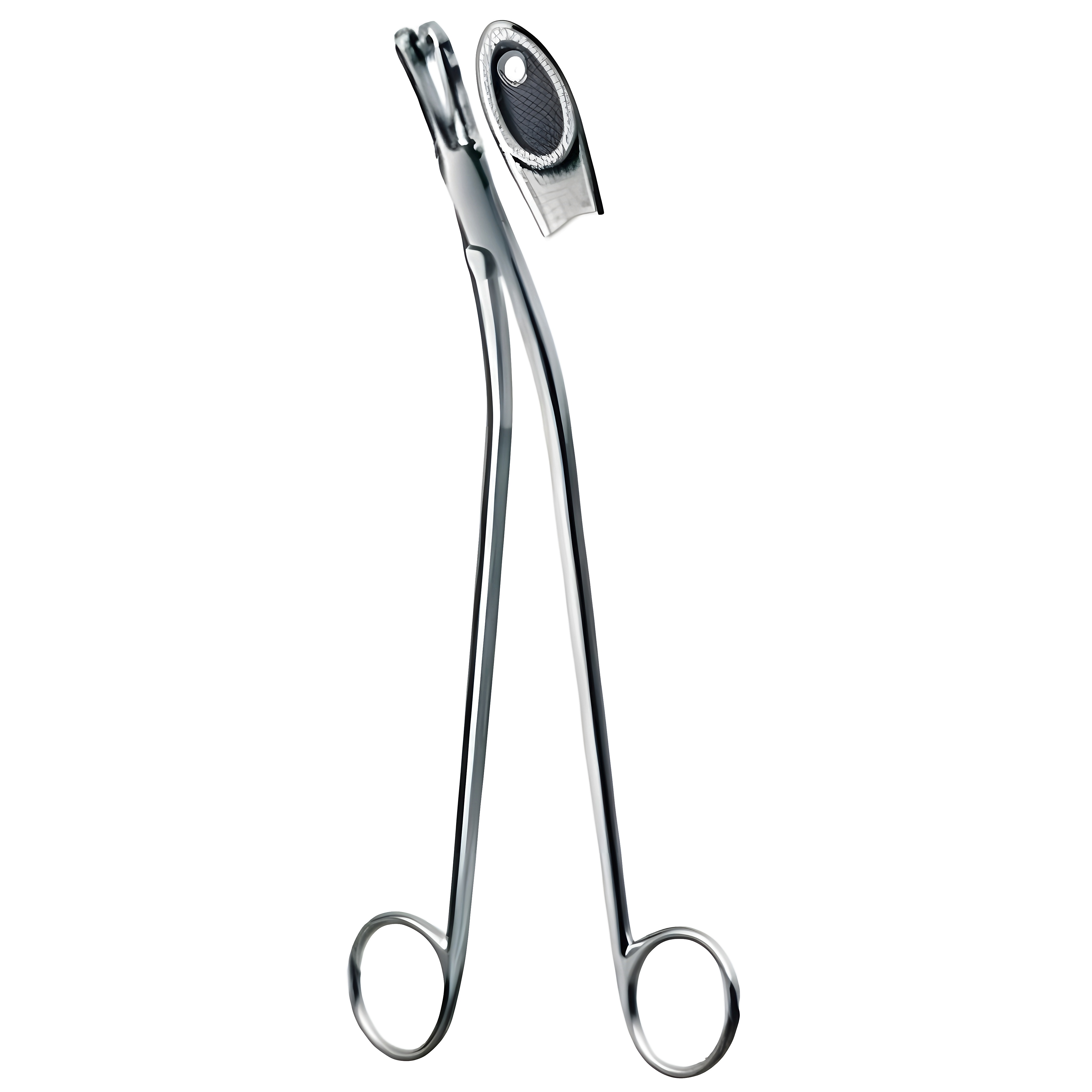Gellhorn Biopsy Fcps 23cm