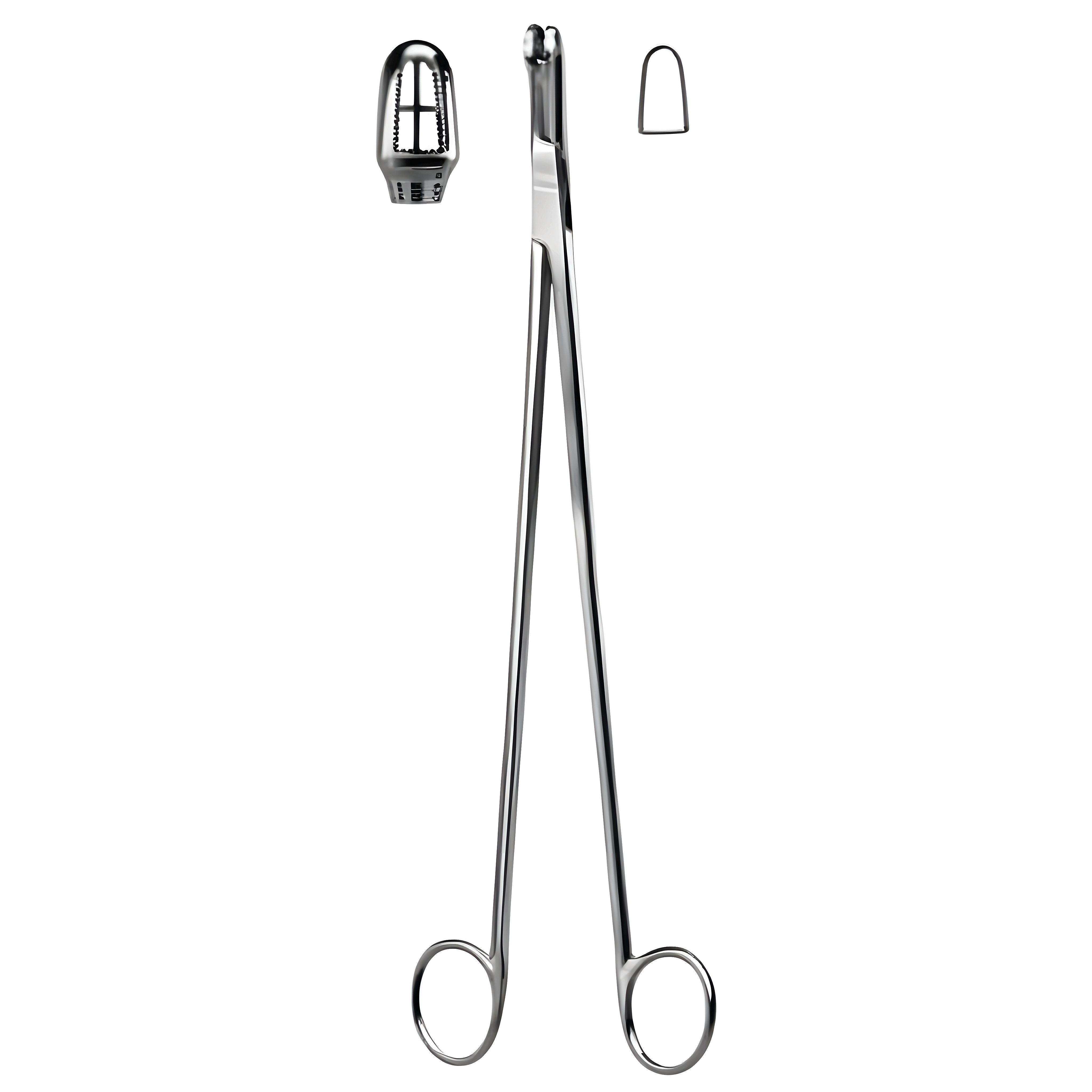 Schubert Biopsy Fcps 21cm