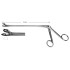 Alexander Biopsy Fcps 28cm