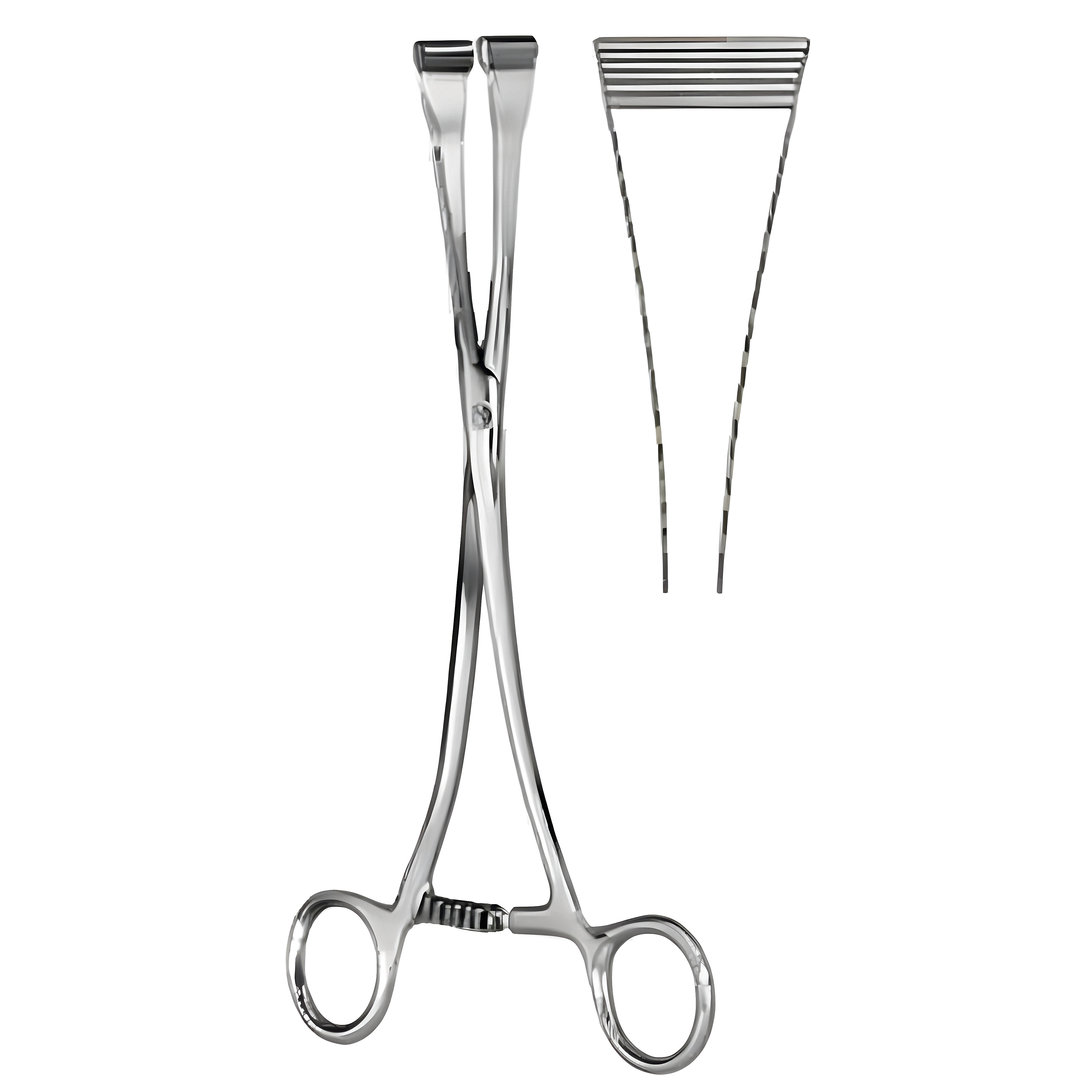 Green Armytage Uterus Hemostatic Fcps 18cm