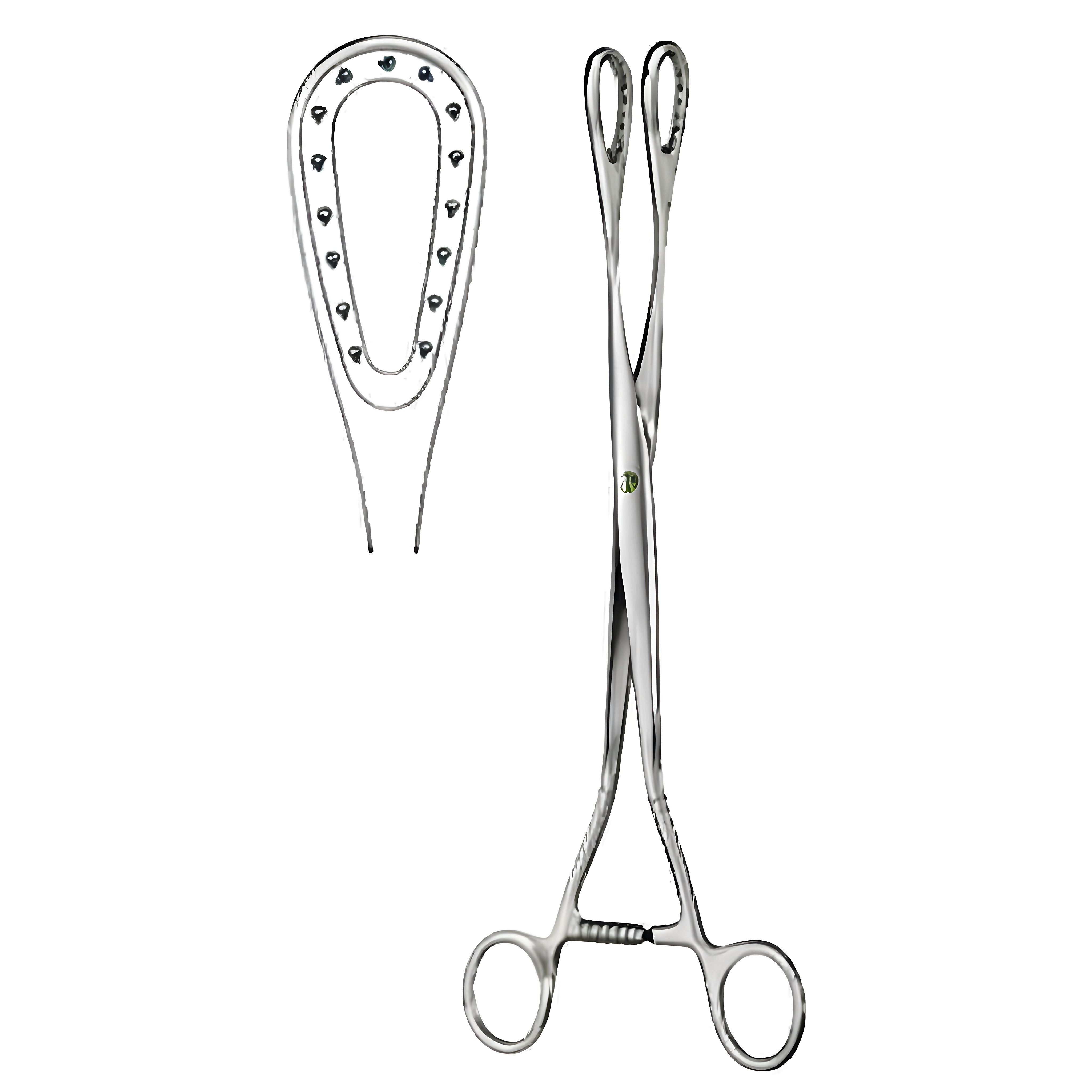 Saenger Placenta and Ovum Fcps str 27cm