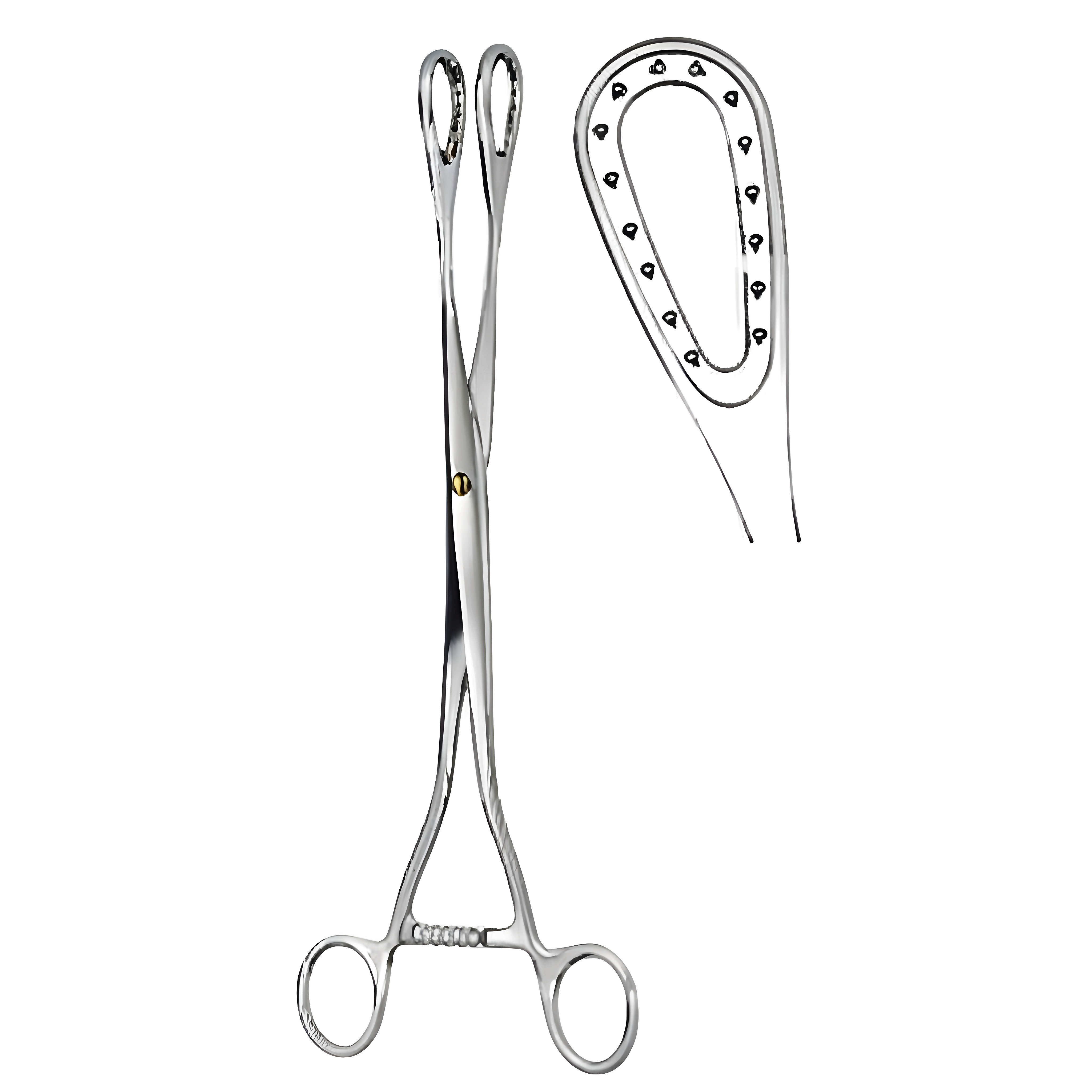 Saenger Placenta and Ovum Fcps cvd 27cm