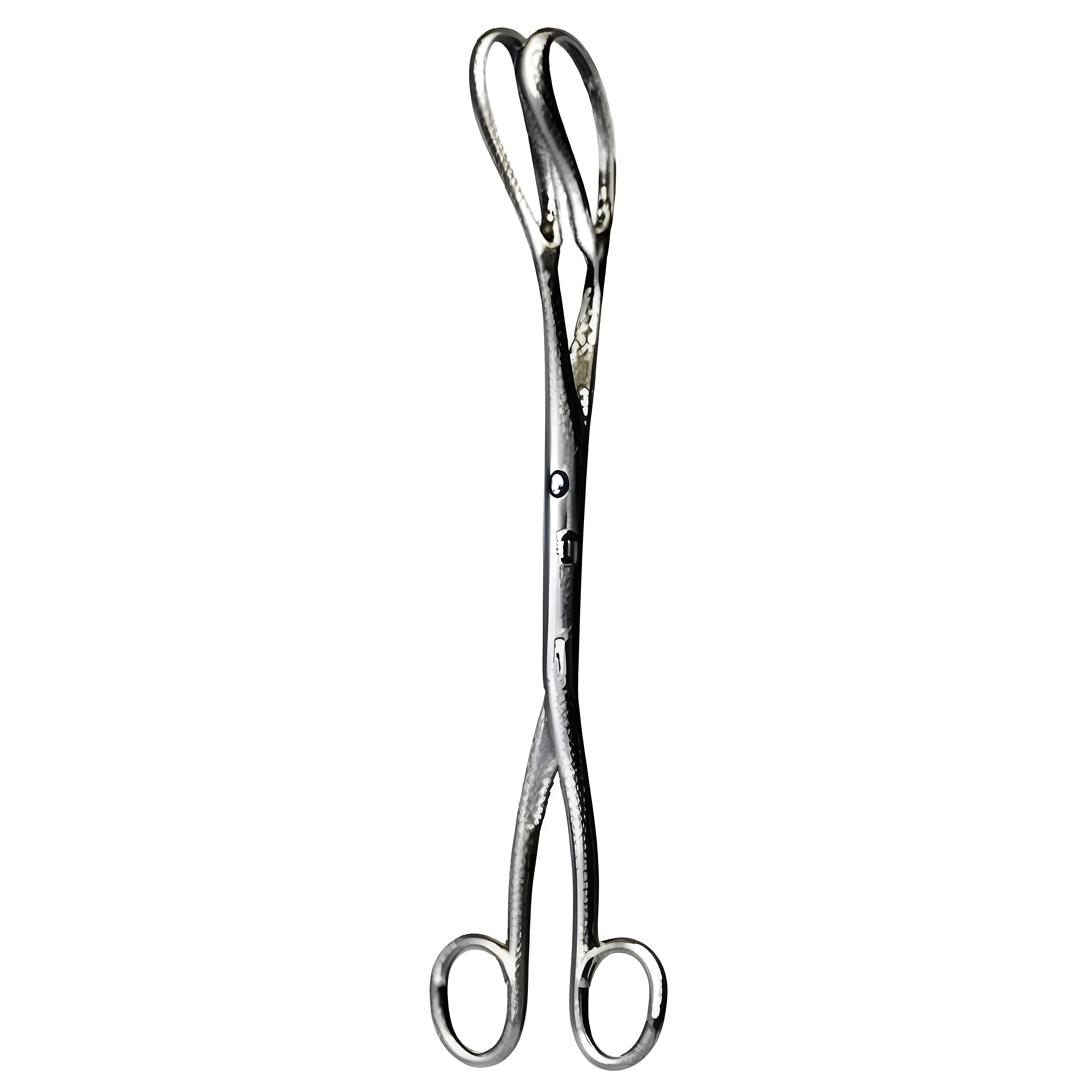 Corey Greenhalgh Ovum Fcps S/J 24cm