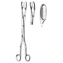 Winter Placenta and Ovum Fcps cvd Fig.2, 28cm