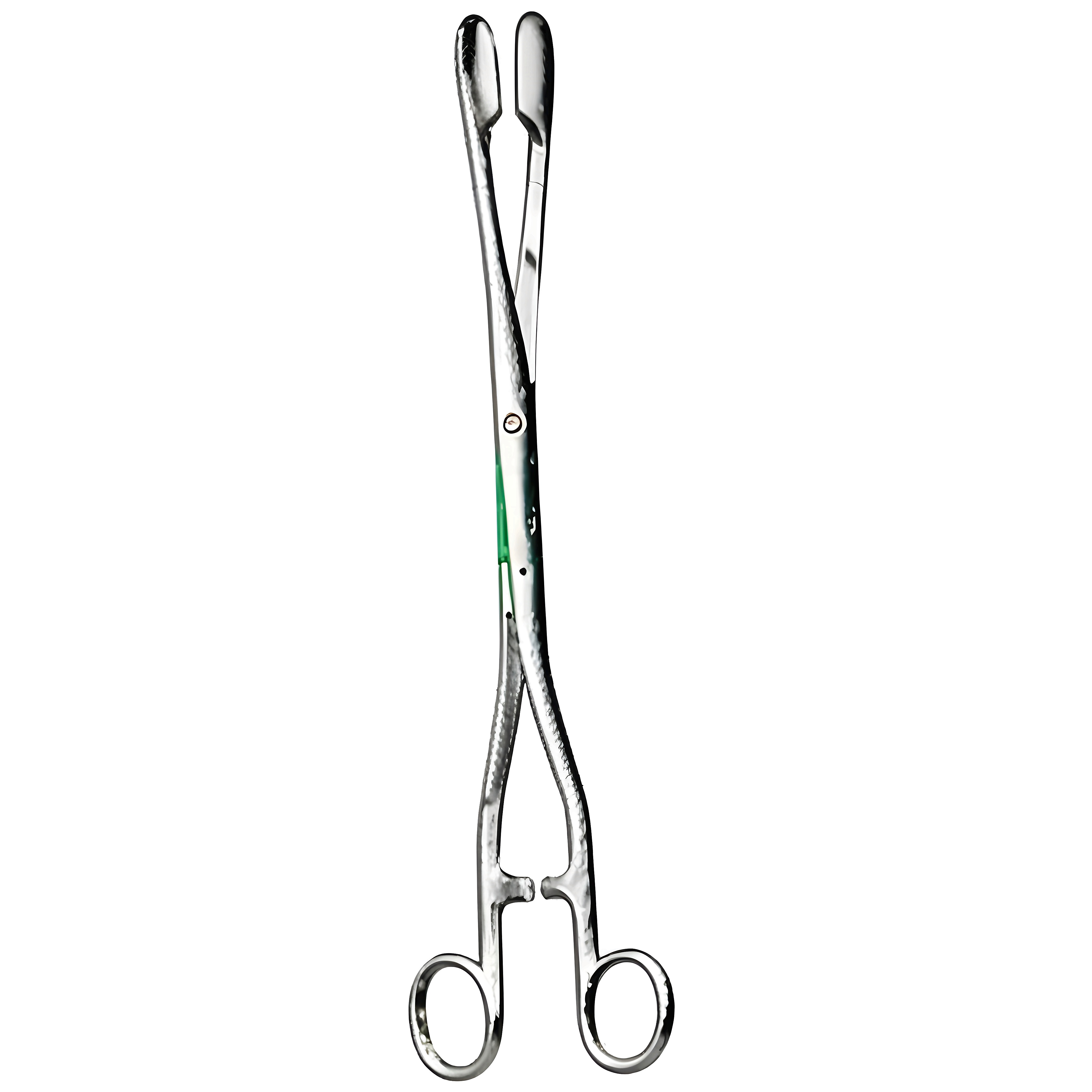 Winter Placenta Fcps str Fig.1, 28cm
