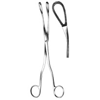 McClintock Ovum Fcps cvd 24cm