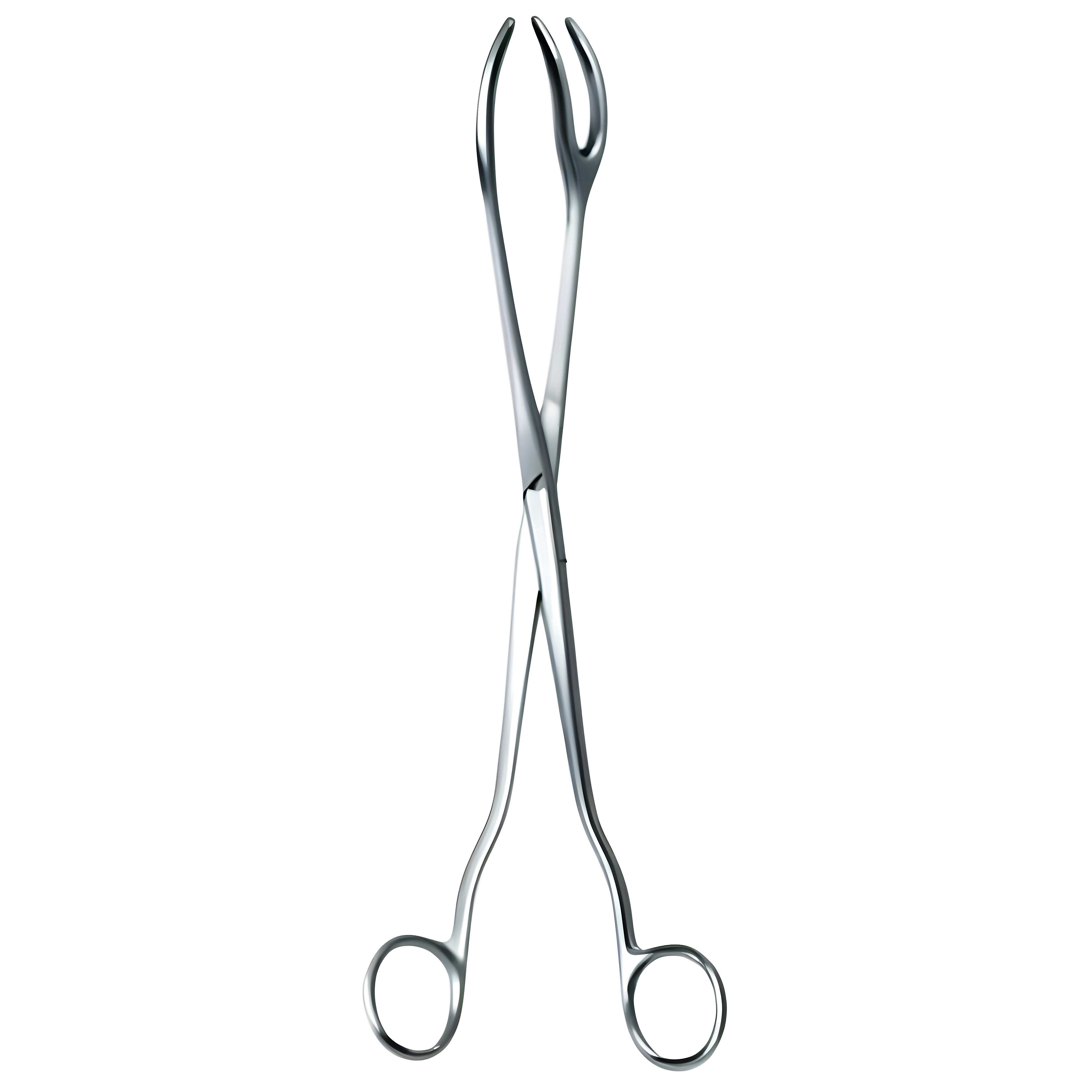 Sterilizing Fcps 1x2pr 20cm