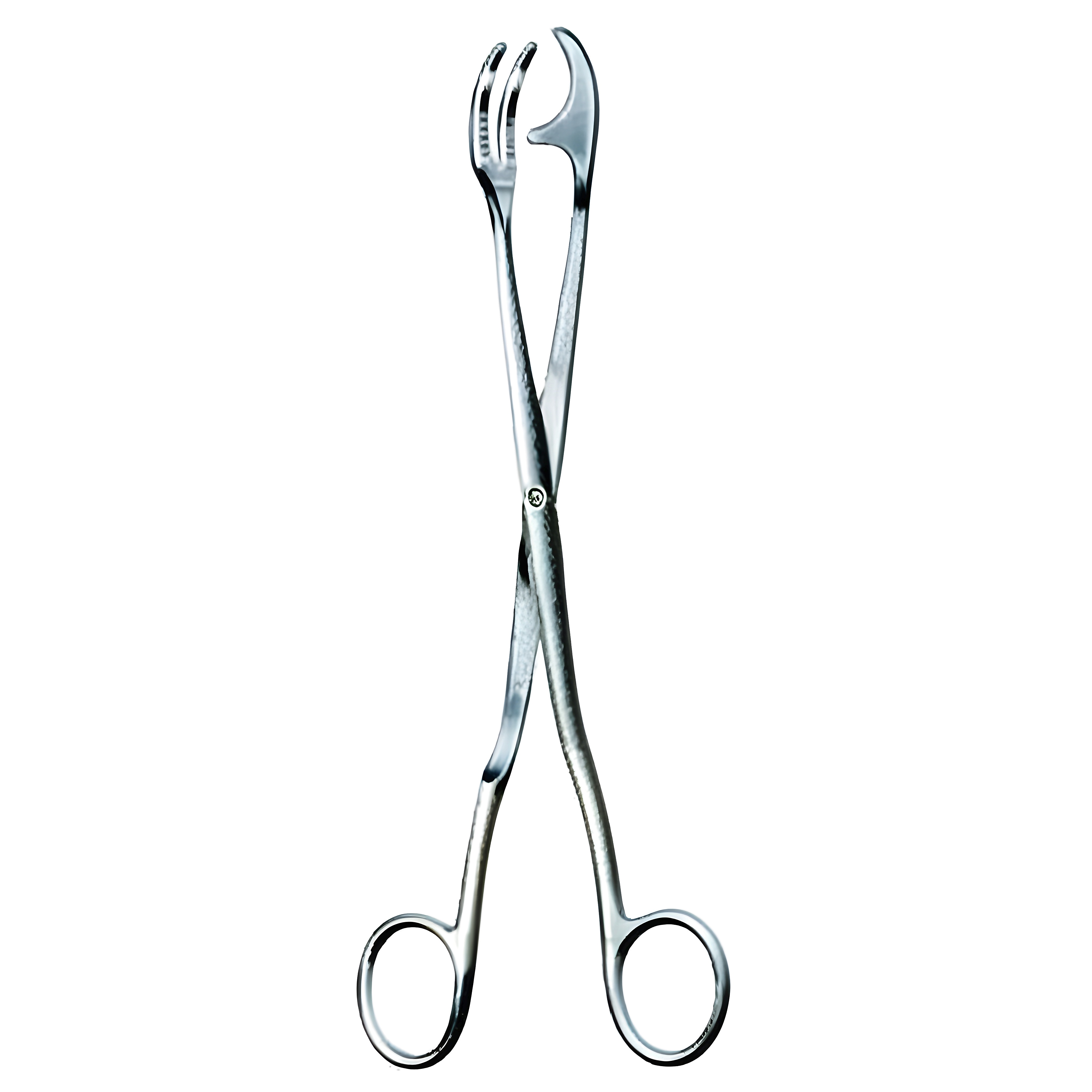 Rogge Sterilizing Fcps 23cm